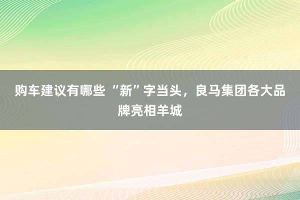 购车建议有哪些 “新”字当头，良马集团各大品牌亮相羊城