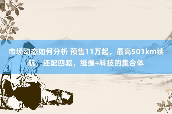 市场动态如何分析 预售11万起，最高501km续航，还配四驱，维握+科技的集合体