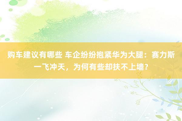 购车建议有哪些 车企纷纷抱紧华为大腿：赛力斯一飞冲天，为何有些却扶不上墙？