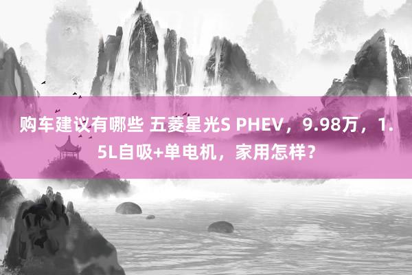 购车建议有哪些 五菱星光S PHEV，9.98万，1.5L自吸+单电机，家用怎样？