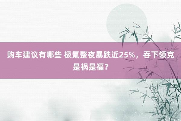 购车建议有哪些 极氪整夜暴跌近25%，吞下领克是祸是福？