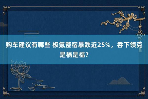 购车建议有哪些 极氪整宿暴跌近25%，吞下领克是祸是福？