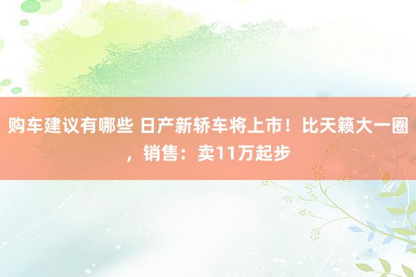 购车建议有哪些 日产新轿车将上市！比天籁大一圈，销售：卖11万起步