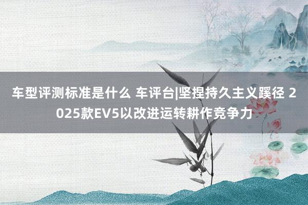 车型评测标准是什么 车评台|坚捏持久主义蹊径 2025款EV5以改进运转耕作竞争力