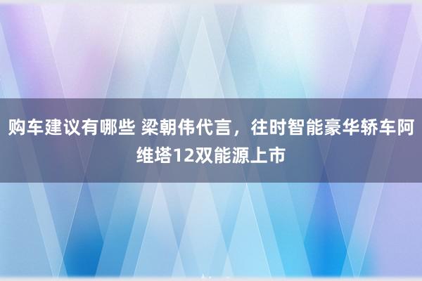 购车建议有哪些 梁朝伟代言，往时智能豪华轿车阿维塔12双能源上市