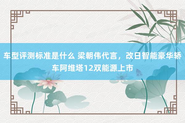 车型评测标准是什么 梁朝伟代言，改日智能豪华轿车阿维塔12双能源上市