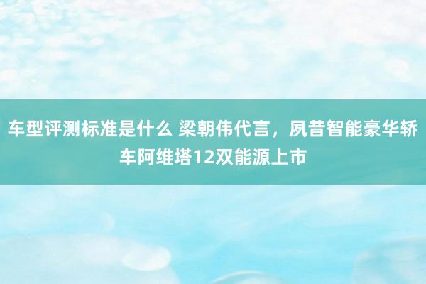 车型评测标准是什么 梁朝伟代言，夙昔智能豪华轿车阿维塔12双能源上市