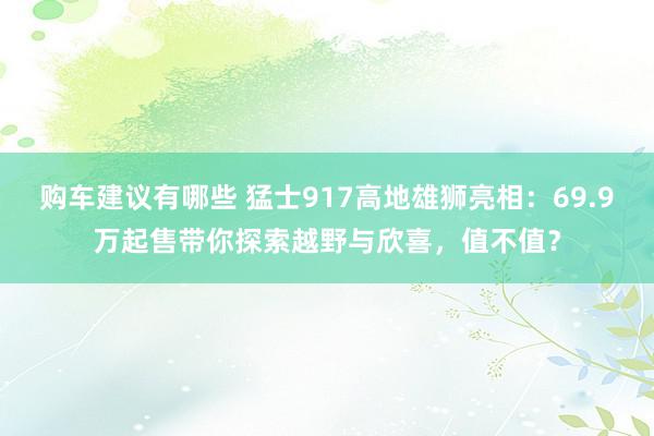 购车建议有哪些 猛士917高地雄狮亮相：69.9万起售带你探索越野与欣喜，值不值？