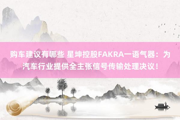 购车建议有哪些 星坤控股FAKRA一语气器：为汽车行业提供全主张信号传输处理决议！