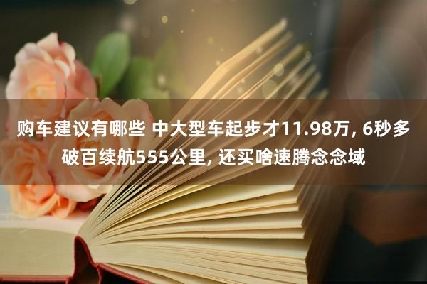 购车建议有哪些 中大型车起步才11.98万, 6秒多破百续航555公里, 还买啥速腾念念域