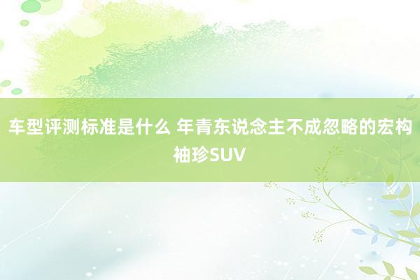 车型评测标准是什么 年青东说念主不成忽略的宏构袖珍SUV