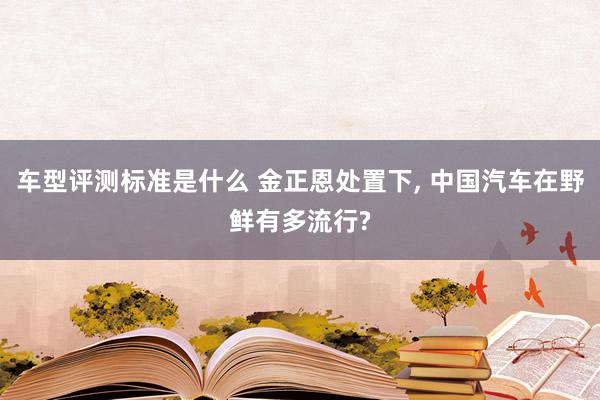 车型评测标准是什么 金正恩处置下, 中国汽车在野鲜有多流行?