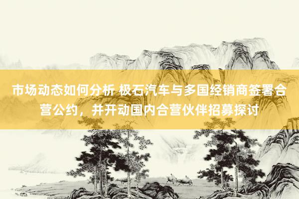 市场动态如何分析 极石汽车与多国经销商签署合营公约，并开动国内合营伙伴招募探讨