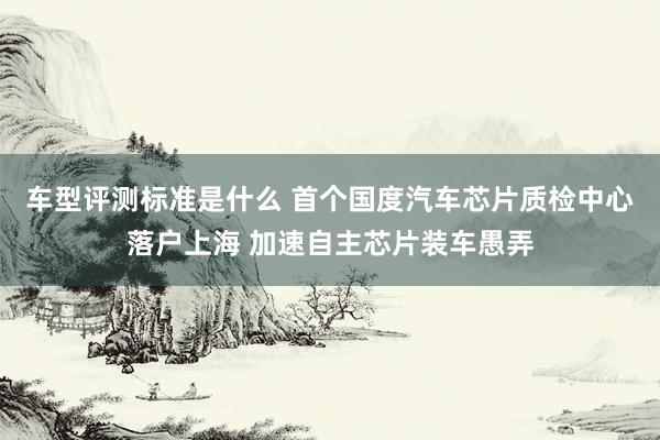 车型评测标准是什么 首个国度汽车芯片质检中心落户上海 加速自主芯片装车愚弄