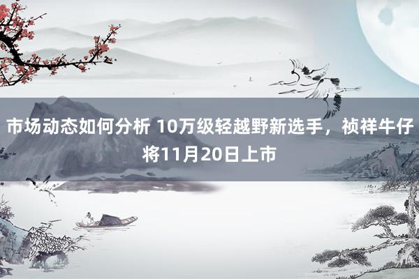 市场动态如何分析 10万级轻越野新选手，祯祥牛仔将11月20日上市