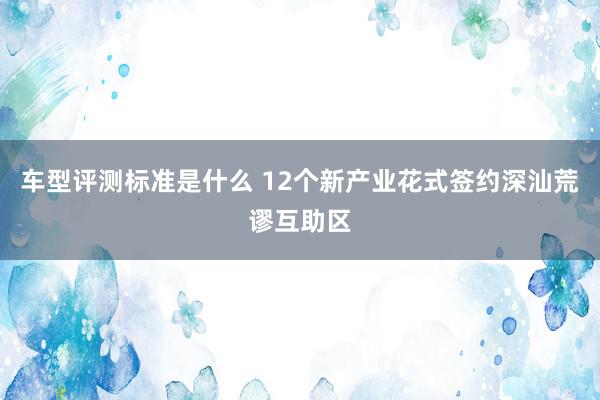 车型评测标准是什么 12个新产业花式签约深汕荒谬互助区