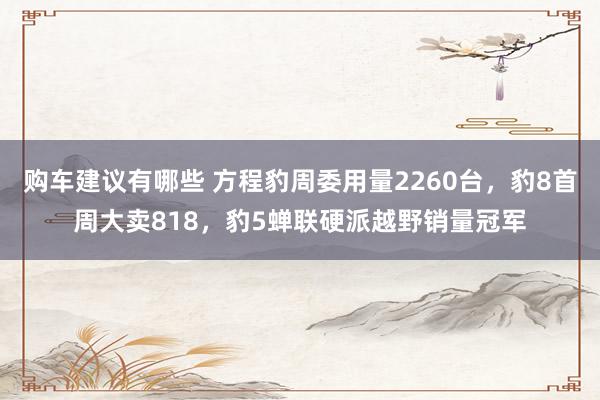 购车建议有哪些 方程豹周委用量2260台，豹8首周大卖818，豹5蝉联硬派越野销量冠军