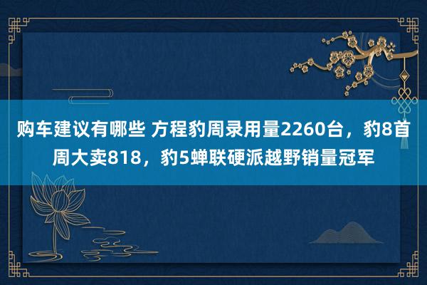 购车建议有哪些 方程豹周录用量2260台，豹8首周大卖818，豹5蝉联硬派越野销量冠军