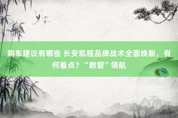 购车建议有哪些 长安凯程品牌战术全面焕新，有何看点？“数智”领航