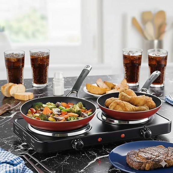 EDB-302BF Double Cast Iron Electric Hot Plate