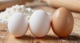 egg size impact in baking