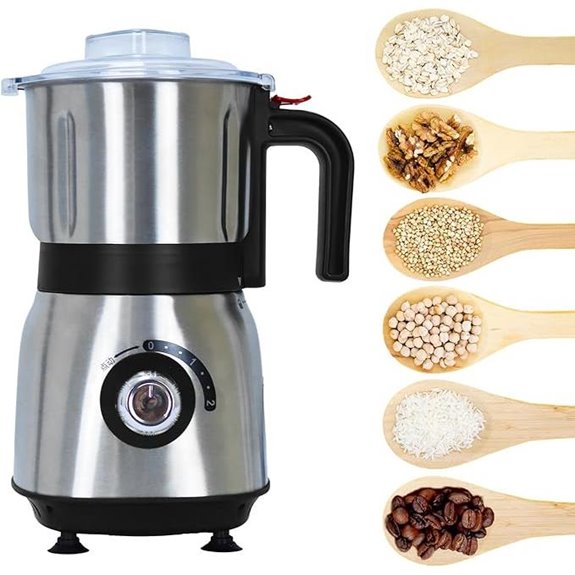Electric Spice & Nut Grinder with Blades and Filter