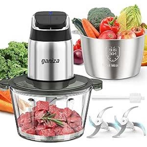 Ganiza Food Processor with Blades and Safety Features