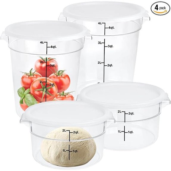 Food Storage Containers with Lids (Set of 4)