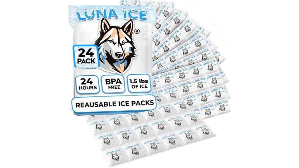 long lasting dry ice packs