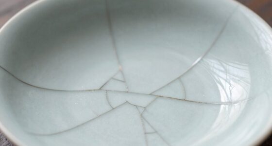 preventing dish cracks from sudden temperature