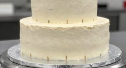 secure stable cake transportation