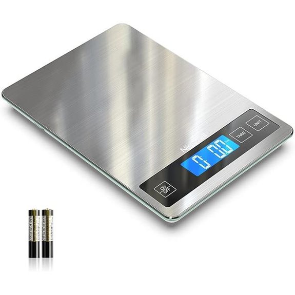 Nicewell Digital Kitchen Food Scale (22lb Stainless Steel)