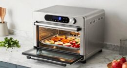 top 15 oven dehydrator picks