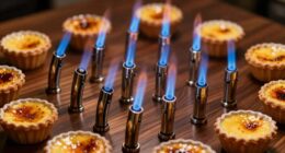 top professional creme br l e torches