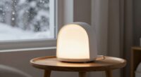 top winter light therapy lamps
