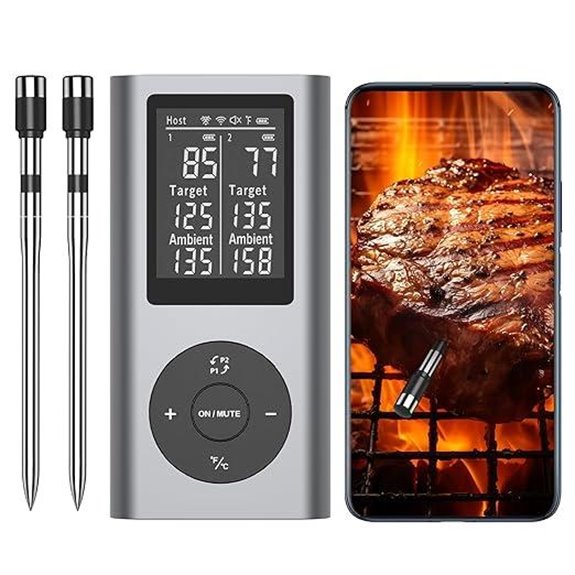 Wireless Bluetooth Meat Thermometer with Probes