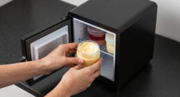 1 Best Mini Fridge for Buttercream and Fillings in 2026