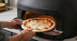 10 Best Pizza Oven for Bread and Pizza in 2026