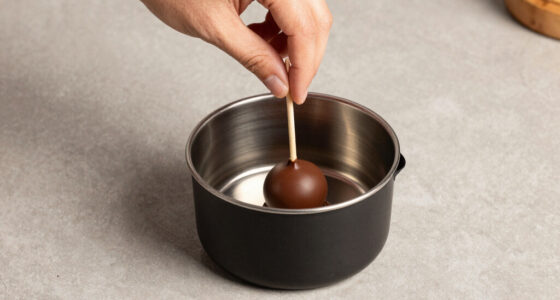 11 Best Chocolate Warmer For Cake Pops in 2026