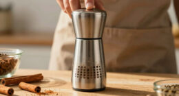 11 Best Spice Grinder For Baking Spices In 2026
