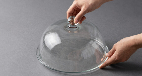 13 Best Glass Cake Dome Large Size in 2026