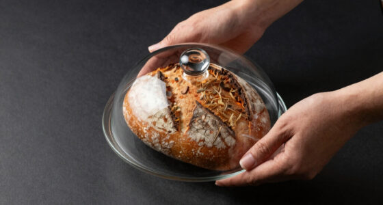 15 Best Bread Cloche for Home Oven in 2026