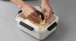 7 Best Bread Proofing Box for Home Bakers in 2026