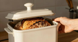 8 Best Covered Bread Baker for Crusty Loaves in 2026