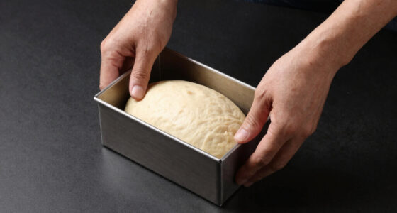 9 Best Best Proofing Box For Serious Bread Bakers In 2026