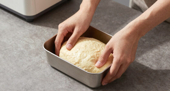 9 Best Dough Proofer for Enriched Dough in 2026