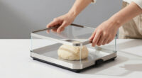 9 Best Proofer for Winter Baking in 2026
