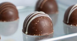 chocolate melts or blooms