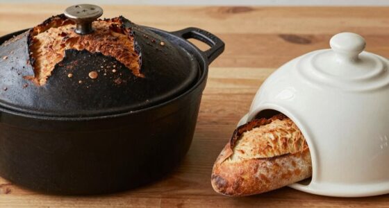 cloche vs dutch oven