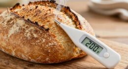 internal temperature guides baking